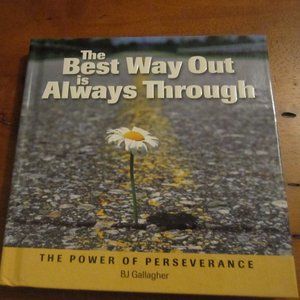 Inspirational book with DVD The best way out is always through NEW